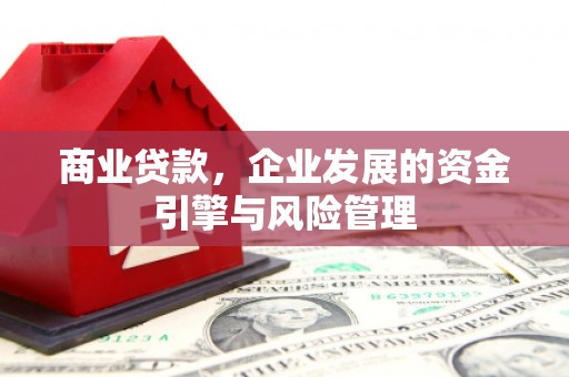 通川商业贷款，企业发展的资金引擎与风险管理