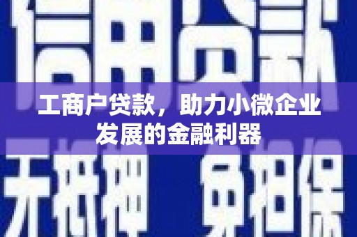 通川工商户贷款，助力小微企业发展的金融利器