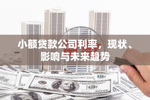 通川小额贷款公司利率，现状、影响与未来趋势