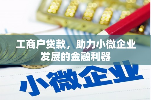 通川工商户贷款，助力小微企业发展的金融利器