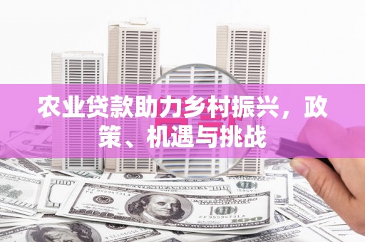 通川农业贷款助力乡村振兴，政策、机遇与挑战