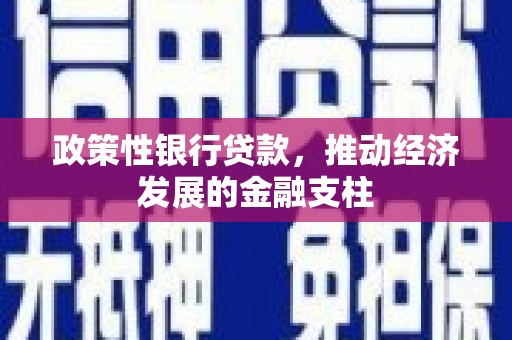 通川政策性银行贷款，推动经济发展的金融支柱