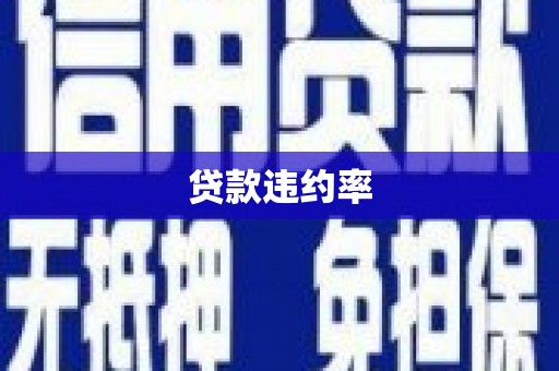 通川贷款违约率