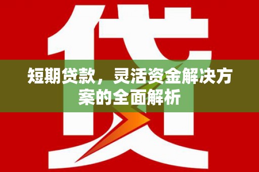 通川短期贷款，灵活资金解决方案的全面解析