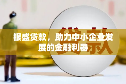 通川银盛贷款，助力中小企业发展的金融利器