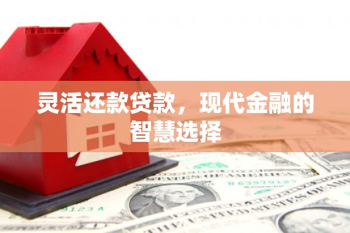 通川灵活还款贷款，现代金融的智慧选择
