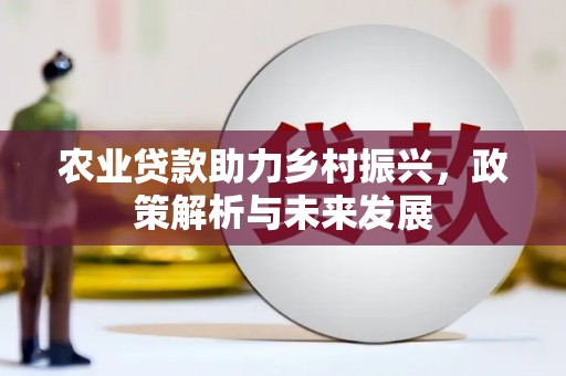 通川农业贷款助力乡村振兴，政策解析与未来发展