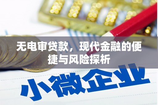 通川无电审贷款，现代金融的便捷与风险探析
