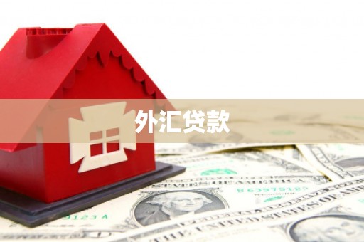 通川外汇贷款