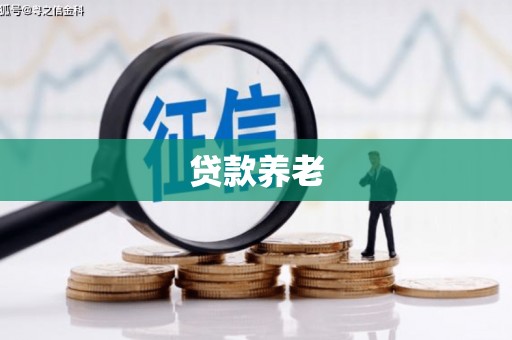 通川贷款养老