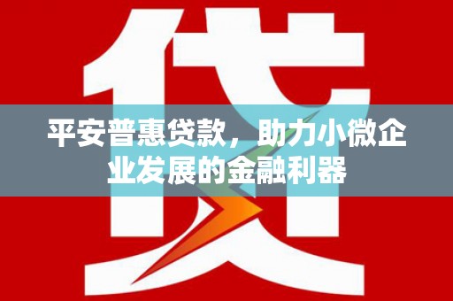 通川平安普惠贷款，助力小微企业发展的金融利器