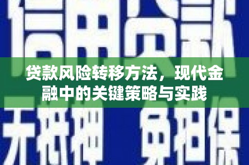 通川贷款风险转移方法，现代金融中的关键策略与实践