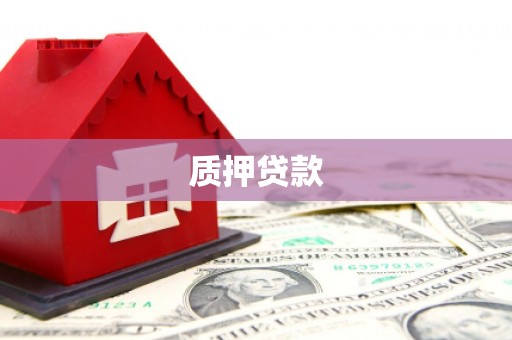 通川质押贷款