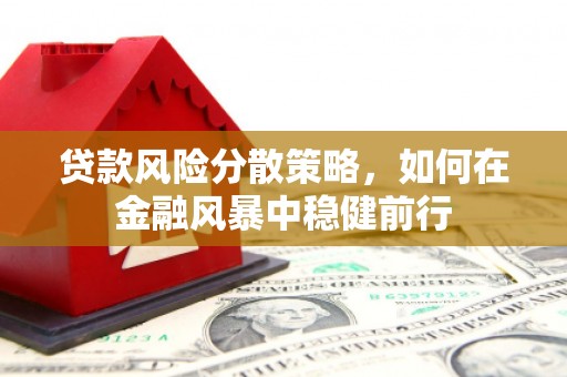 通川贷款风险分散策略，如何在金融风暴中稳健前行