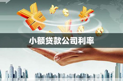 通川小额贷款公司利率
