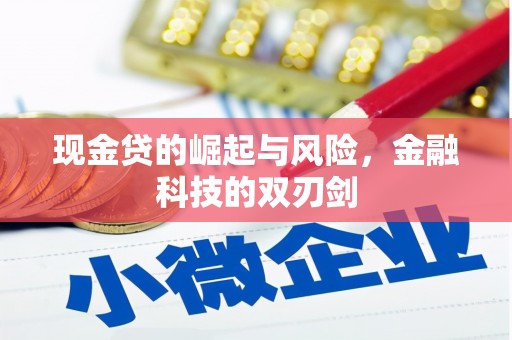 通川现金贷的崛起与风险，金融科技的双刃剑