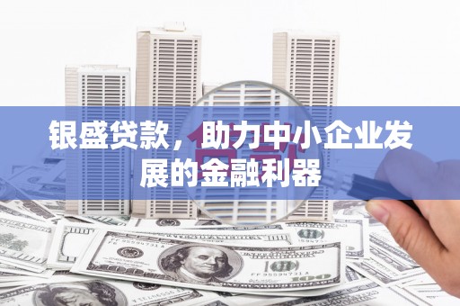 通川银盛贷款，助力中小企业发展的金融利器