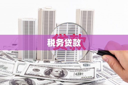 通川税务贷款