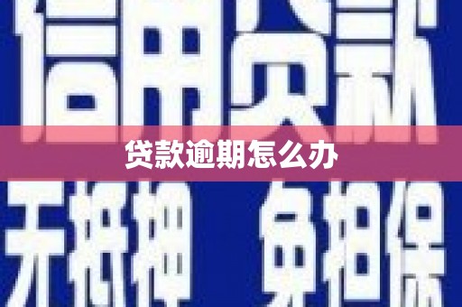 通川贷款逾期怎么办