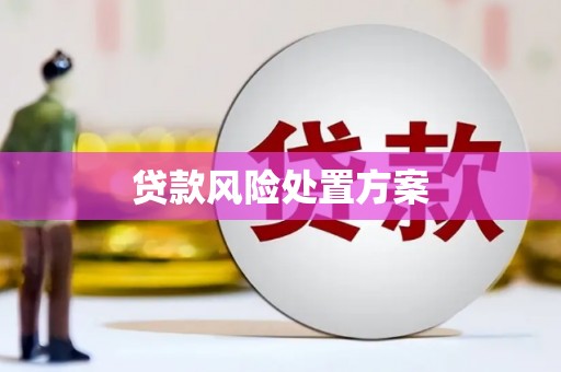 通川贷款风险处置方案