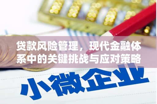 通川贷款风险管理，现代金融体系中的关键挑战与应对策略