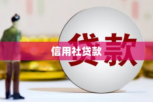 通川信用社贷款
