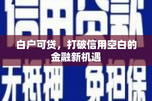 通川白户可贷，打破信用空白的金融新机遇