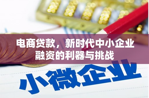 通川电商贷款，新时代中小企业融资的利器与挑战