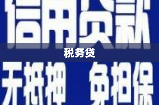通川税务贷