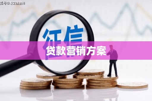 通川贷款营销方案