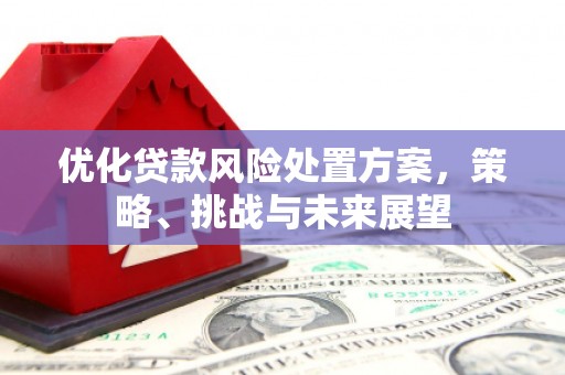 通川优化贷款风险处置方案，策略、挑战与未来展望