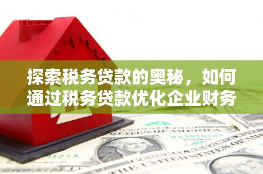 通川探索税务贷款的奥秘，如何通过税务贷款优化企业财务