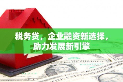 通川税务贷，企业融资新选择，助力发展新引擎