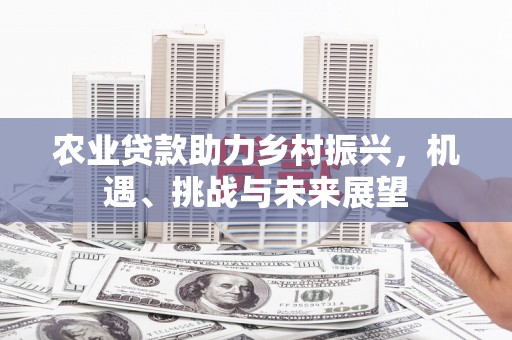 通川农业贷款助力乡村振兴，机遇、挑战与未来展望