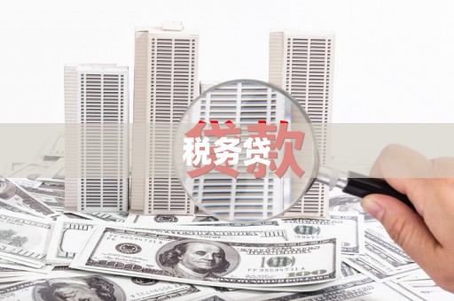 通川税务贷