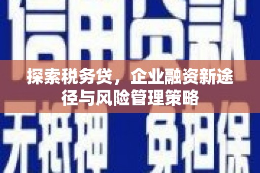 通川探索税务贷，企业融资新途径与风险管理策略