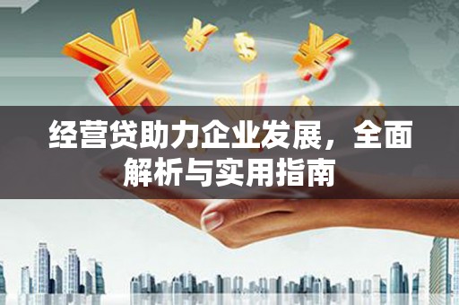 通川经营贷助力企业发展，全面解析与实用指南