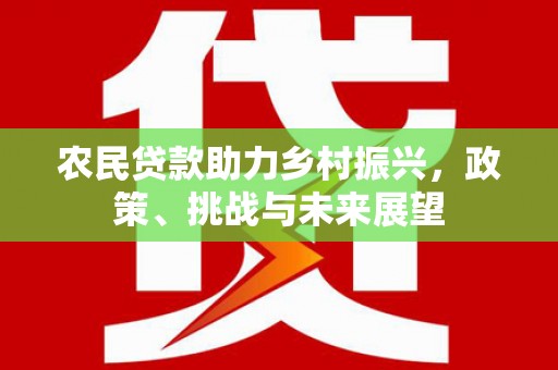 通川农民贷款助力乡村振兴，政策、挑战与未来展望
