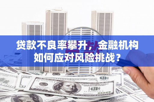 通川贷款不良率攀升，金融机构如何应对风险挑战？