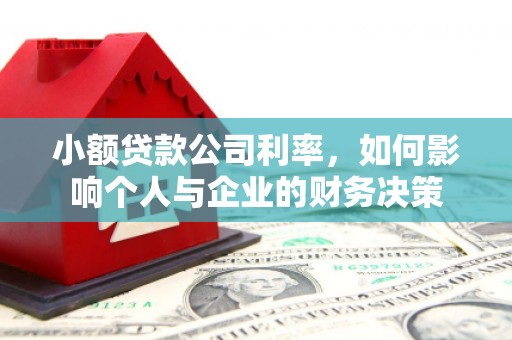 通川小额贷款公司利率，如何影响个人与企业的财务决策