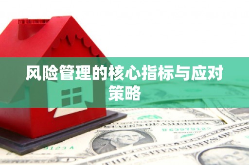 通川风险管理的核心指标与应对策略