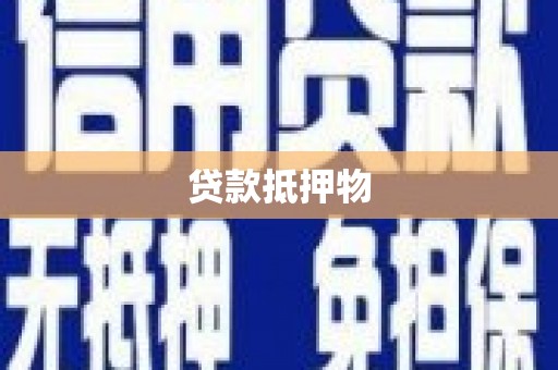 通川贷款抵押物