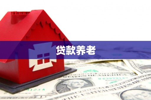 通川贷款养老