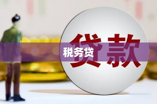 通川税务贷