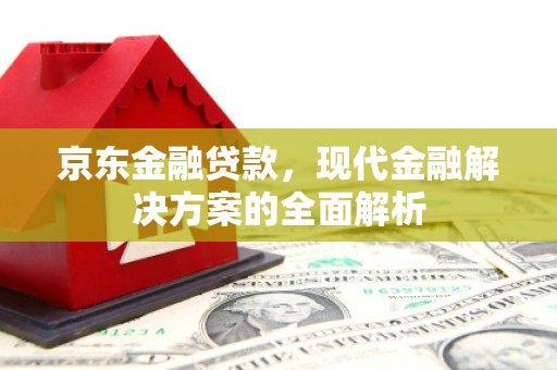 通川京东金融贷款，现代金融解决方案的全面解析