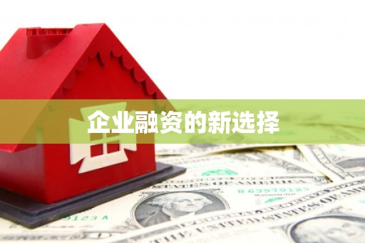 通川企业融资的新选择
