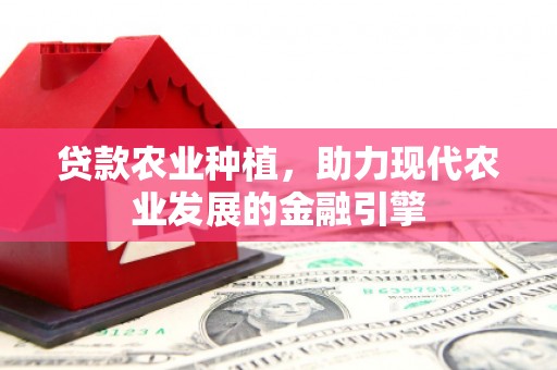 通川贷款农业种植，助力现代农业发展的金融引擎