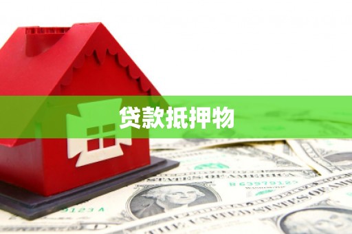 通川贷款抵押物