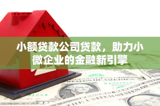 通川小额贷款公司贷款，助力小微企业的金融新引擎
