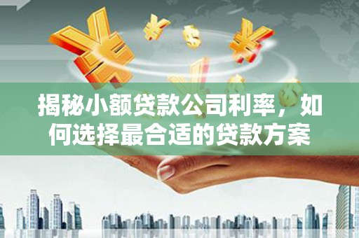 通川揭秘小额贷款公司利率，如何选择最合适的贷款方案